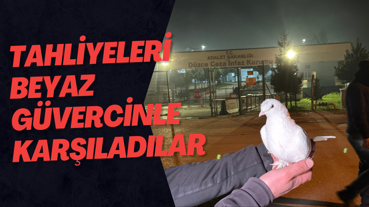 Tahliyeleri Beyaz Güvercinle Karşıladılar