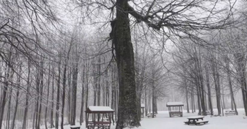 Kuzuyayla Tabiat Parkı’nda kar manzarası