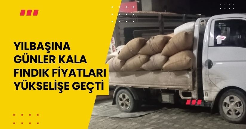 Yılbaşına günler kala fındık fiyatları yükselişe geçtiYılbaşına günler kala fındık fiyatları yükselişe geçti