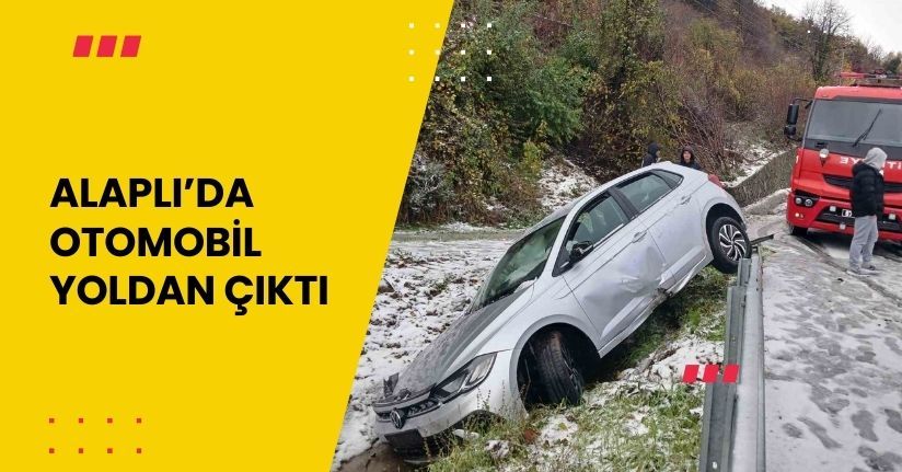 Alaplı’da otomobil yoldan çıktı