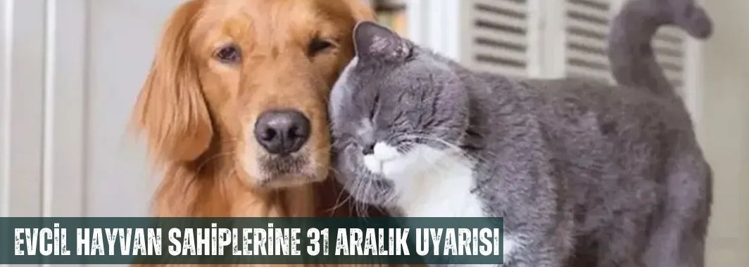 Evcil Hayvan Sahiplerine 31 Aralık Uyarısı