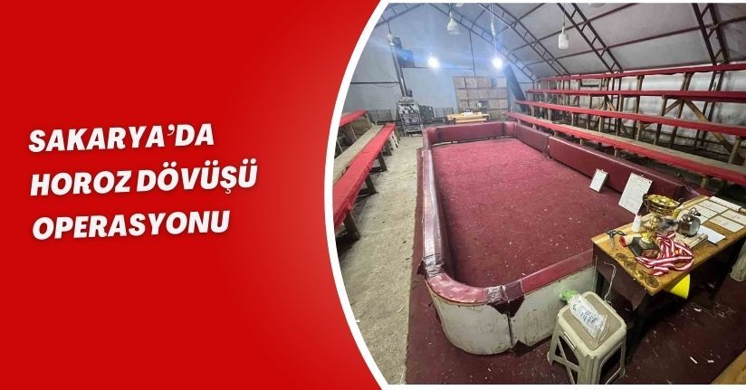 Sakarya’da horoz dövüşü operasyonu