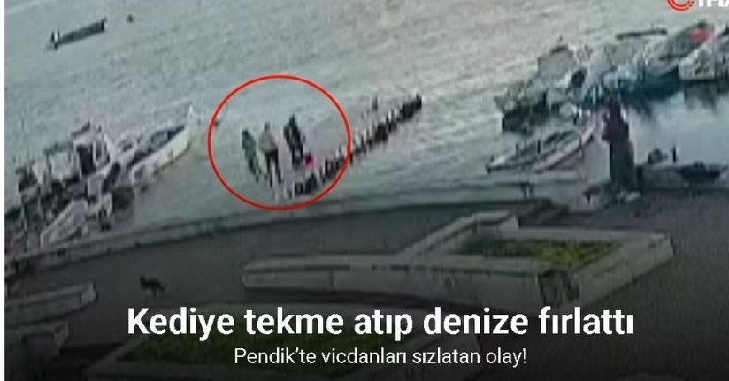 Pendik’te vicdanları sızlatan olay: Kediye tekme atıp denize fırlattı