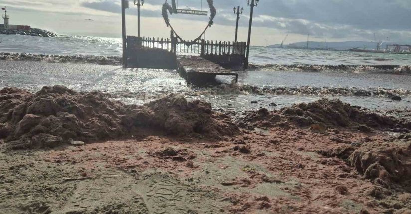 Tekirdağ’da lodos kıyıyı vurdu, kızıl yosunlar sahili kapladı