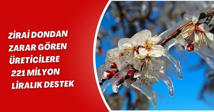 Zirai Dondan Zarar Gören Üreticilere 221 Milyon Liralık Destek