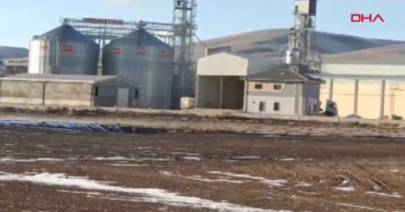 TMO'yu 500 milyon TL dolandıran depo sahibi, yurt dışına kaçtı; 9 çalışan gözaltında