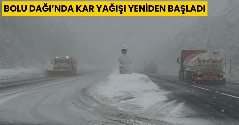 Bolu Dağı’nda kar yağışı yeniden başladı