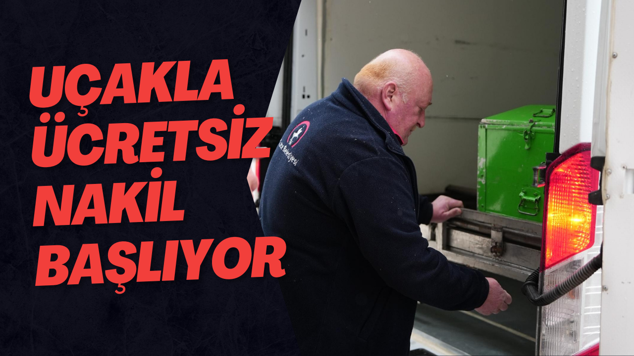 1 Ocak 2026’da Uçakla Ücretsiz Nakil Başlıyor