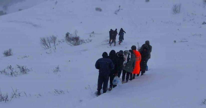 Artvin’de çığ altında kalan çobanları arama çalışmaları sürüyor