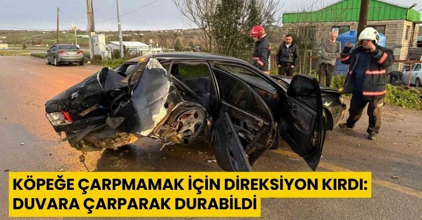 Köpeğe çarpmamak için direksiyon kırdı: Duvara çarparak durabildi