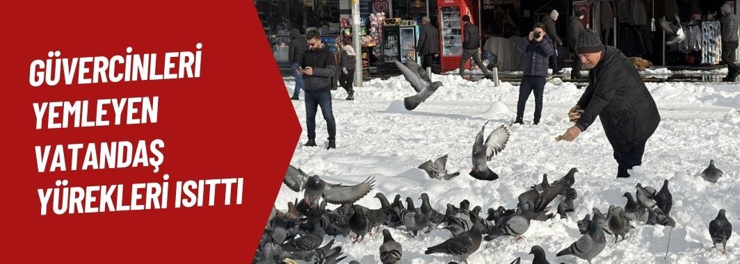 Güvercinleri yemleyen vatandaş yürekleri ısıttı