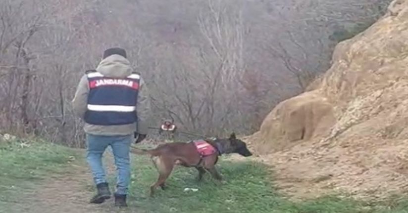 Sırra kadem basan Elif'i arama çalışmaları 7'nci gününde