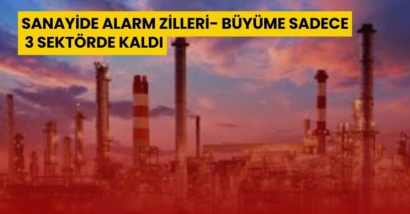 Sanayide Alarm Zilleri: Büyüme Sadece 3 Sektörde Kaldı, Daralma Yayılıyor