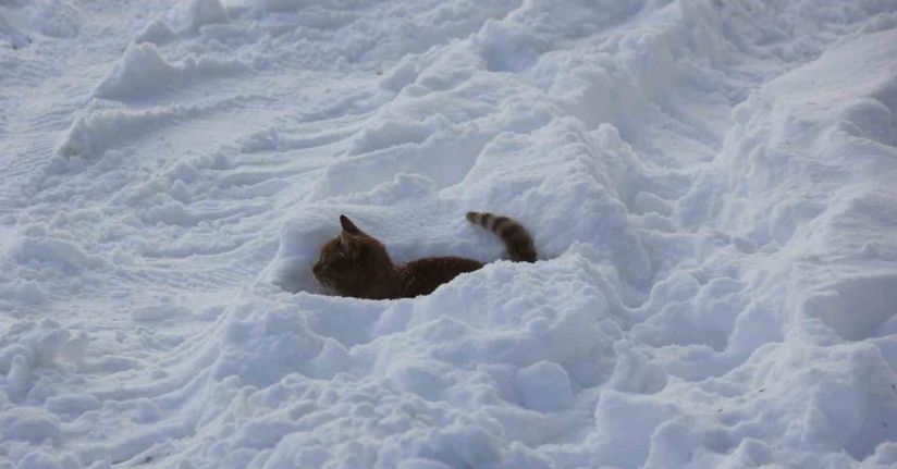 Eski kışlar geri geldi, Kızılırmak’ın yüzeyi kısmen dondu