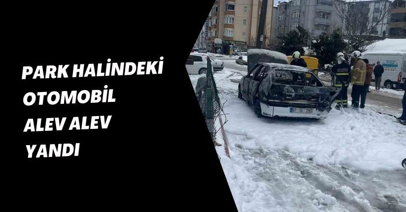 Park halindeki otomobil alev alev yandı