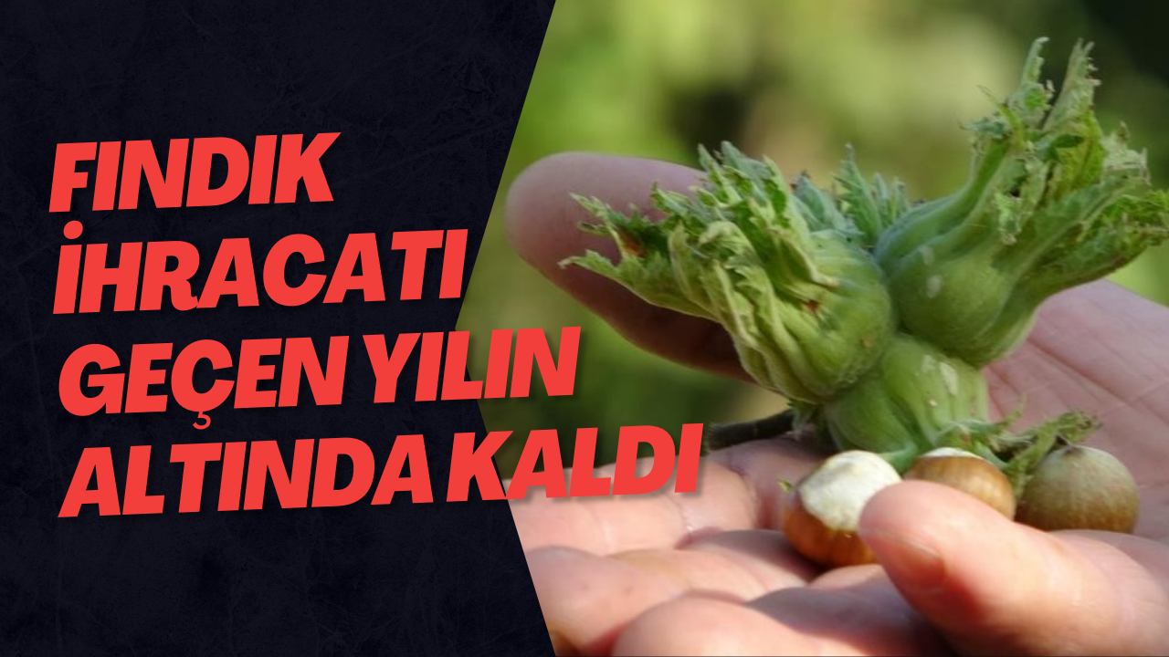 Fındık İhracatı Geçen Yılın Altında Kaldı