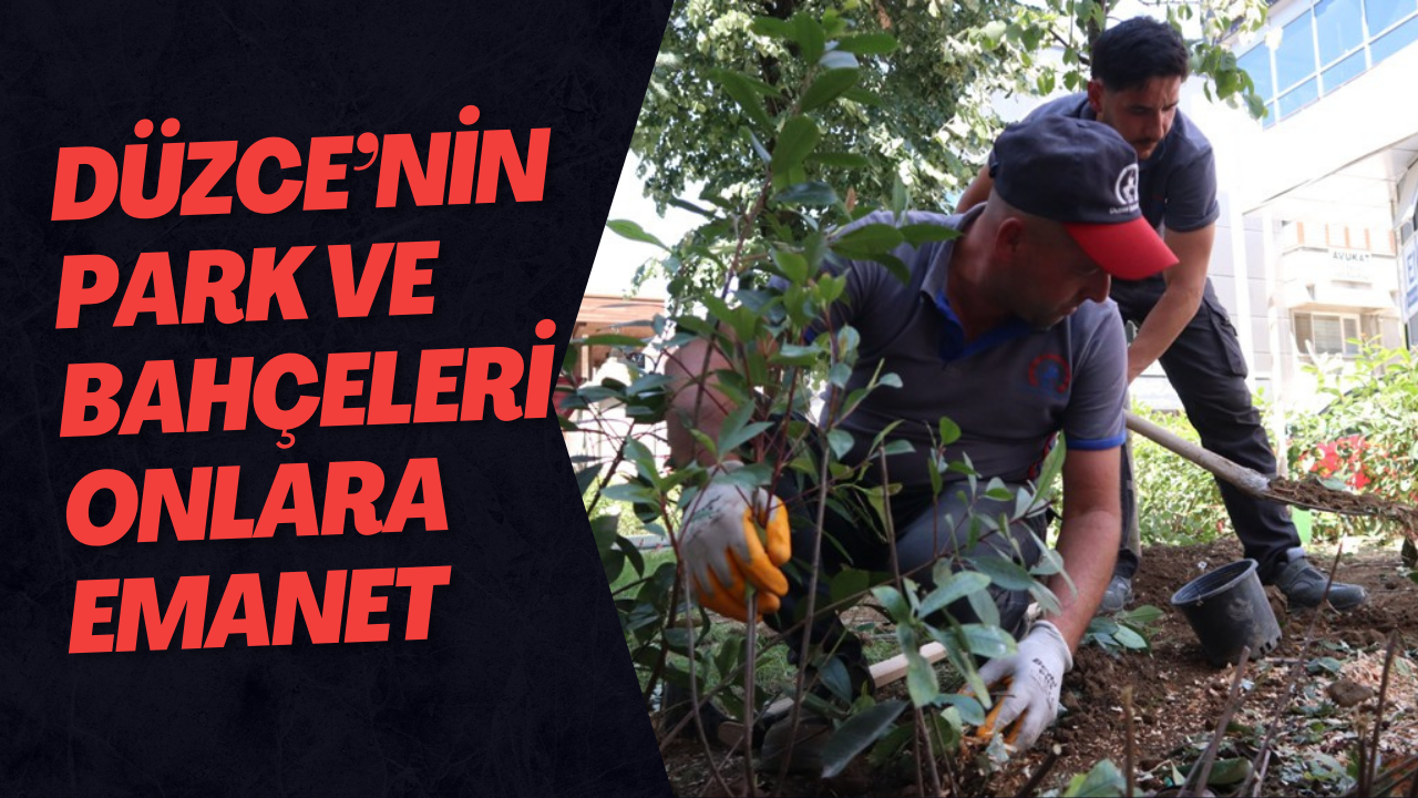 Düzce’nin Park Ve Bahçeleri Onlara Emanet