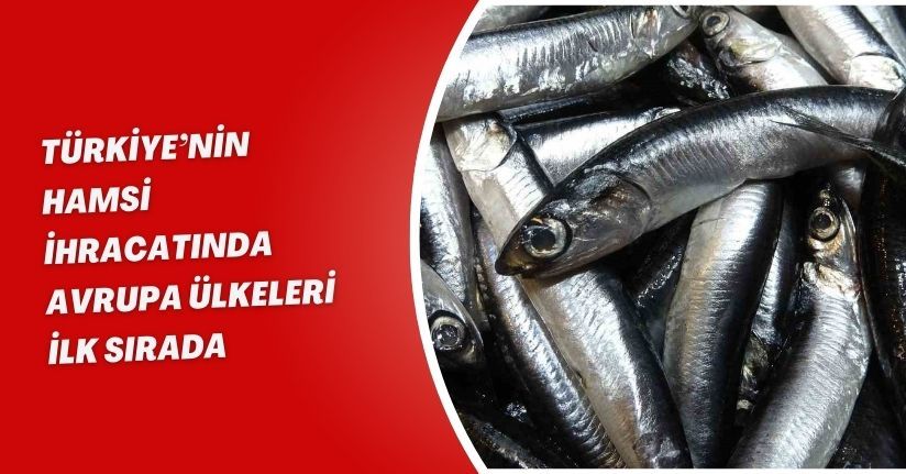 Türkiye’nin hamsi ihracatında Avrupa ülkeleri ilk sırada
