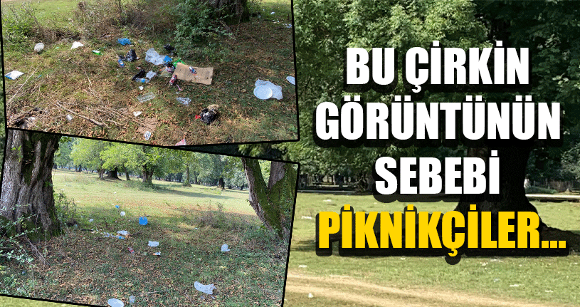 Mesire Alanı Çöplüğe Döndü