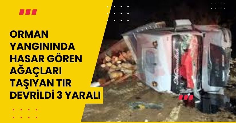 Orman Yangınında Hasar Gören Ağaçları Taşıyan Tır Devrildi 3 Yaralı