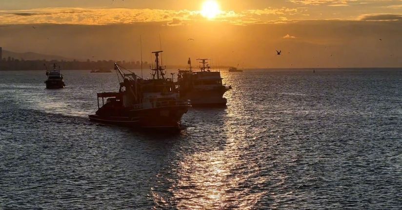 Boğaz’da fırtına sonrası balıkçılar yeniden denize açıldı