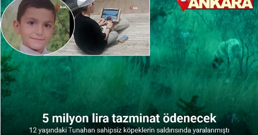 Köpeklerin saldırısında yaralanan Yılmaz’ın ailesine 5 milyon lira tazminat ödenmesine karar verildi