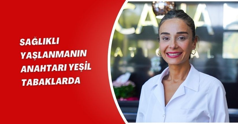 Sağlıklı yaşlanmanın anahtarı yeşil tabaklarda