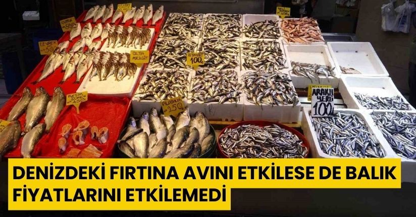 Denizdeki fırtına avını etkilese de balık fiyatlarını etkilemedi