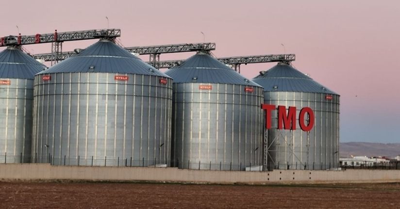 Mardin’de 9 kişinin tutuklandığı 137 bin tonluk buğday vurgununda depolar TMO’ya devredildi