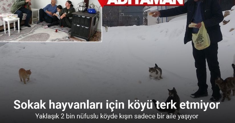 Yaklaşık 2 bin nüfuslu köyde kışın sadece bir aile yaşıyor