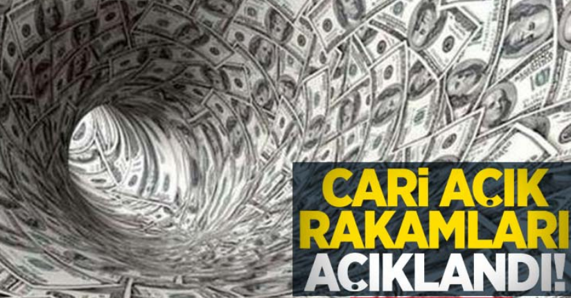 Kasım ayı cari açık verileri açıklandı