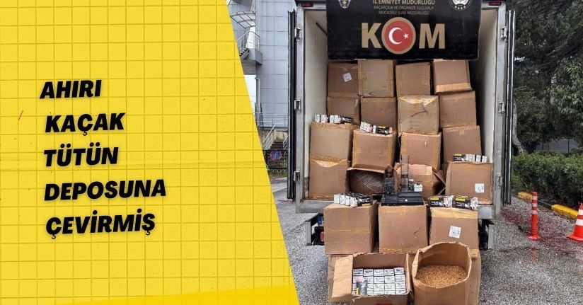 Ahırı, kaçak tütün deposuna çevirmiş