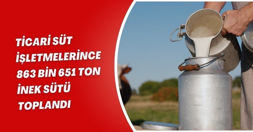 Ticari süt işletmelerince 863 bin 651 ton inek sütü toplandı