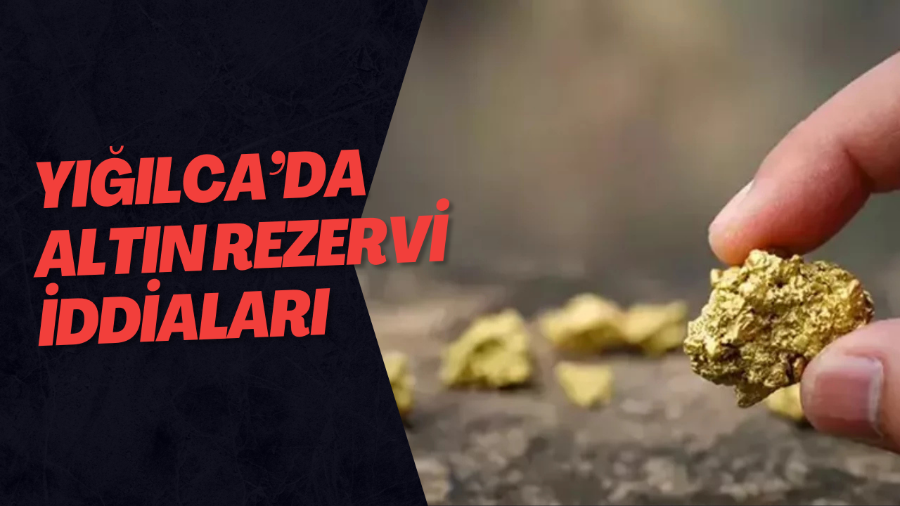 Yığılca’da Altın Rezervi İddiaları