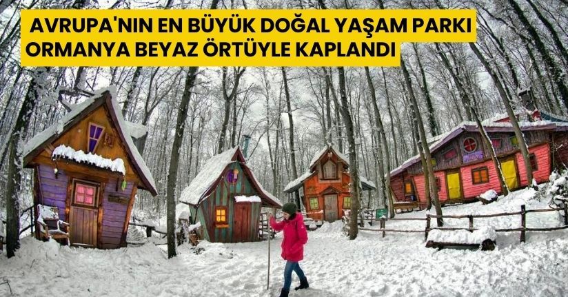 Avrupa’nın en büyük doğal yaşam parkı Ormanya beyaz örtüyle kaplandı