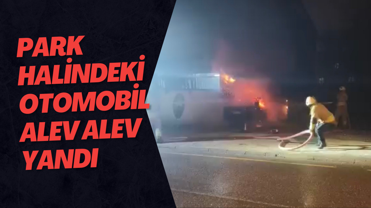 Park Halindeki Otomobil Alev Alev Yandı