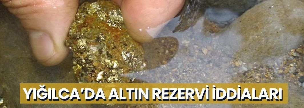 Yığılca’da Altın Rezervi İddiaları