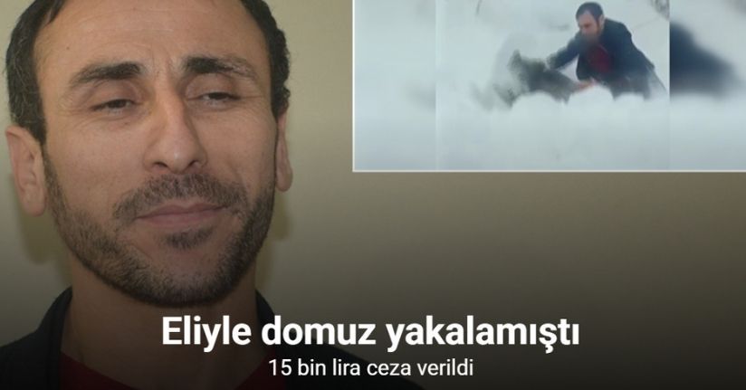 Sinop’ta eliyle domuz yakalayan vatandaşa 15 bin lira ceza