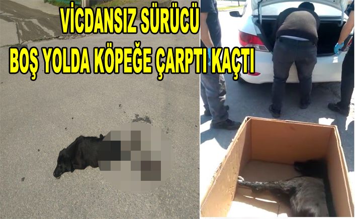 İşçilerin çabasına rağmen kurtarılamadı