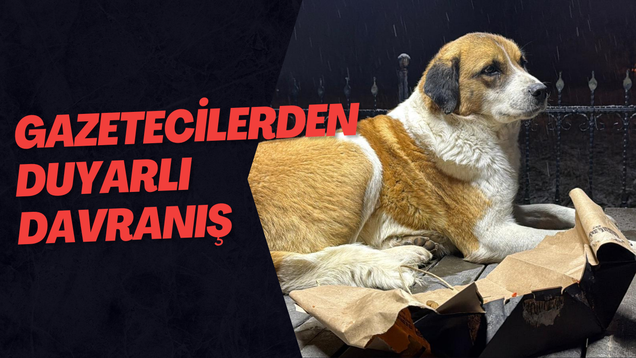 Gazetecilerden Duyarlı Davranış