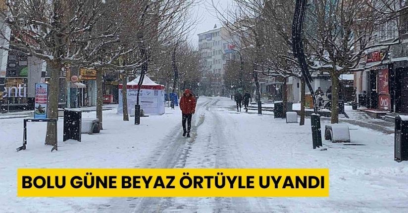 Bolu güne beyaz örtüyle uyandı