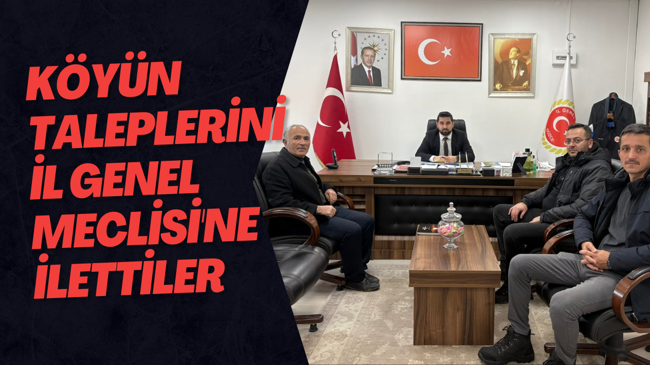 Köyün Taleplerini İl Genel Meclisi'ne İlettiler