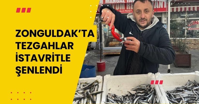 Zonguldak’ta tezgahlar istavritle şenlendi