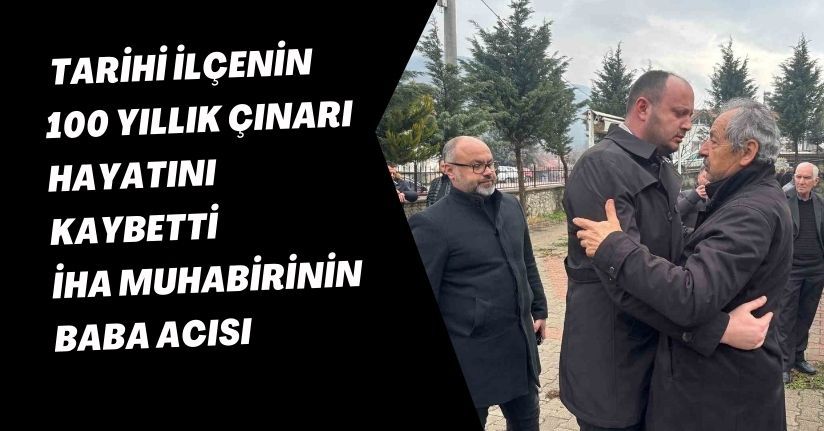 Tarihi ilçenin 100 yıllık çınarı hayatını kaybetti: İHA muhabirinin baba acısı