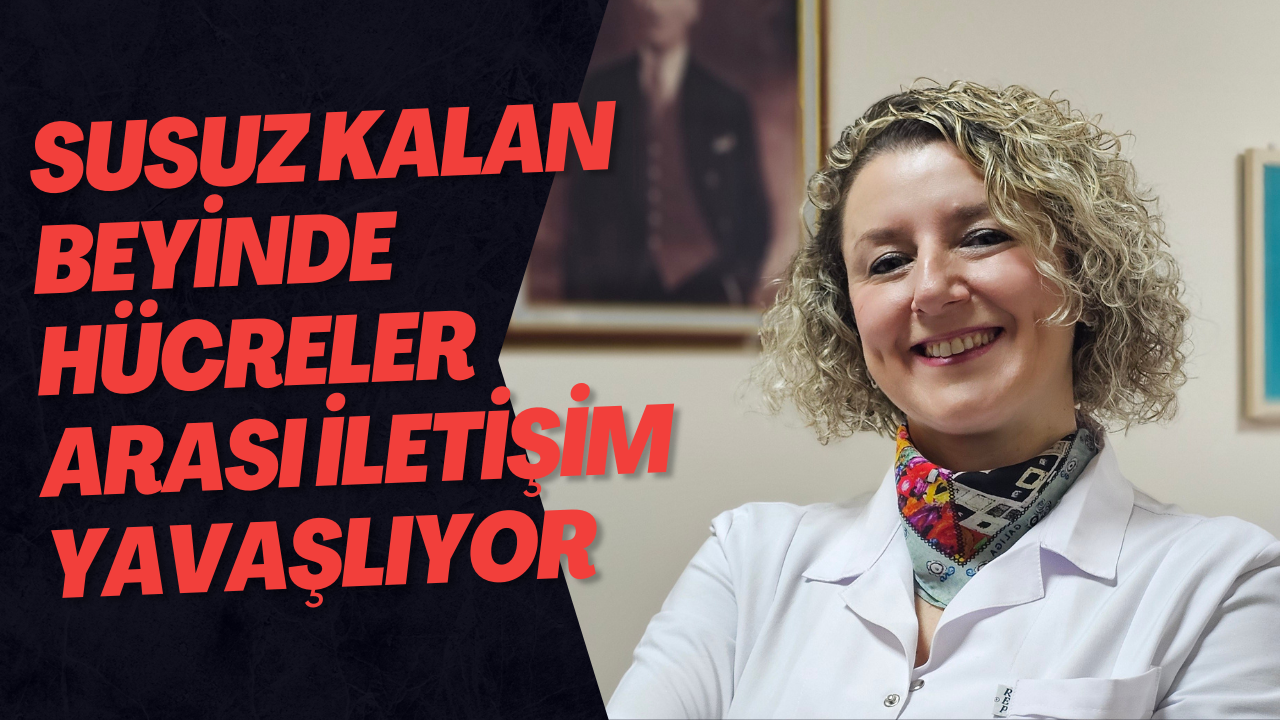 Susuz Kalan Beyinde Hücreler Arası İletişim Yavaşlıyor