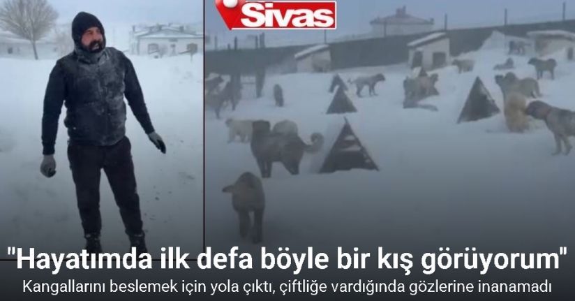 Kangallarını beslemek için yola çıktı, çiftliğe vardığında gözlerine inanamadı
