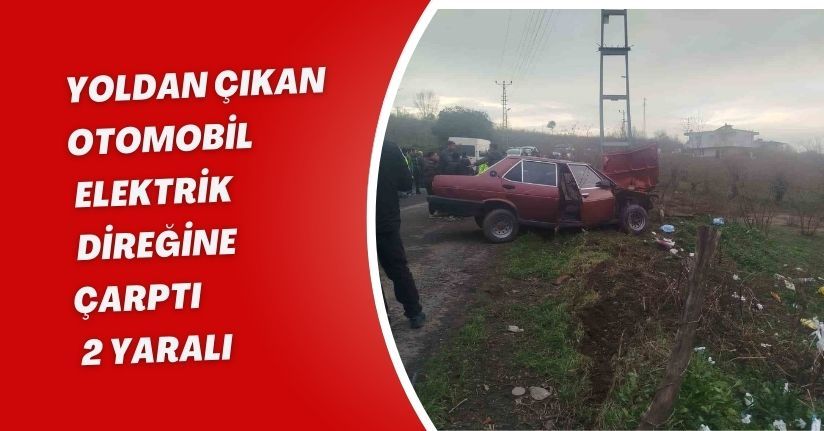 Yoldan çıkan otomobil elektrik direğine çarptı: 2 yaralı