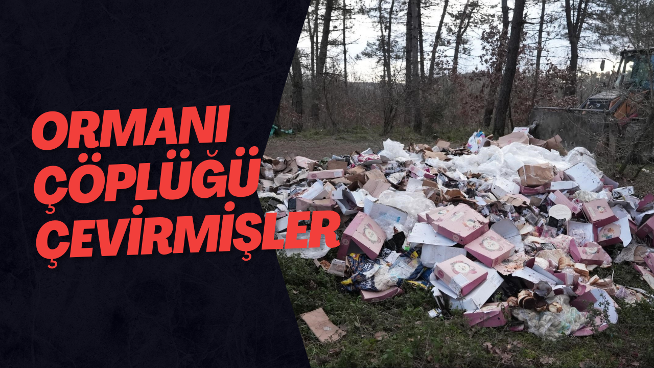 Ormanı Çöplüğü Çevirmişler