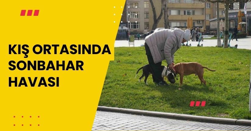 Kış ortasında sonbahar havası