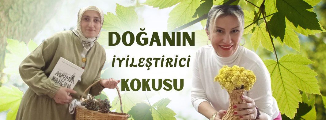 Kokular Sağlığı Doğrudan Etkiliyor